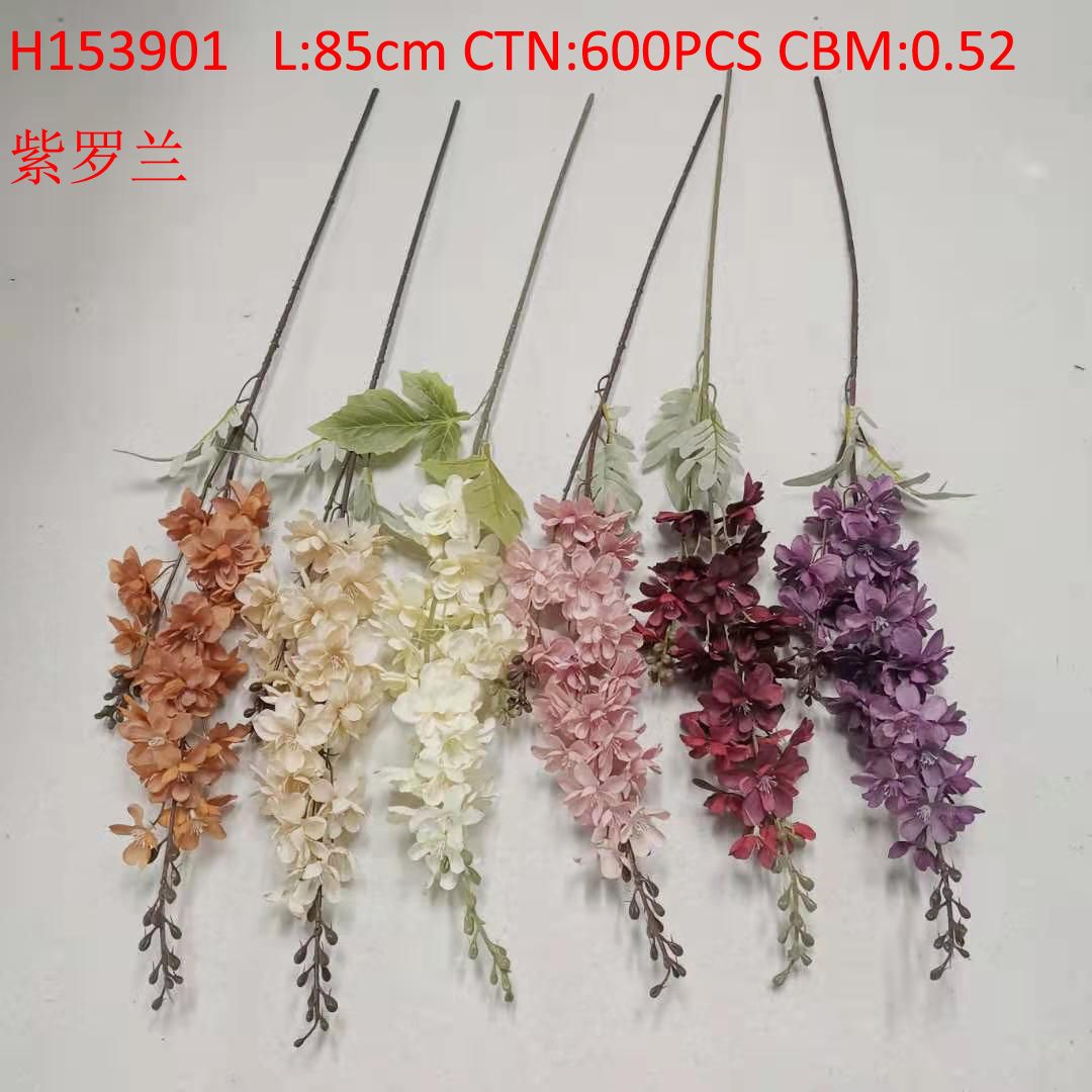 Violet H153901