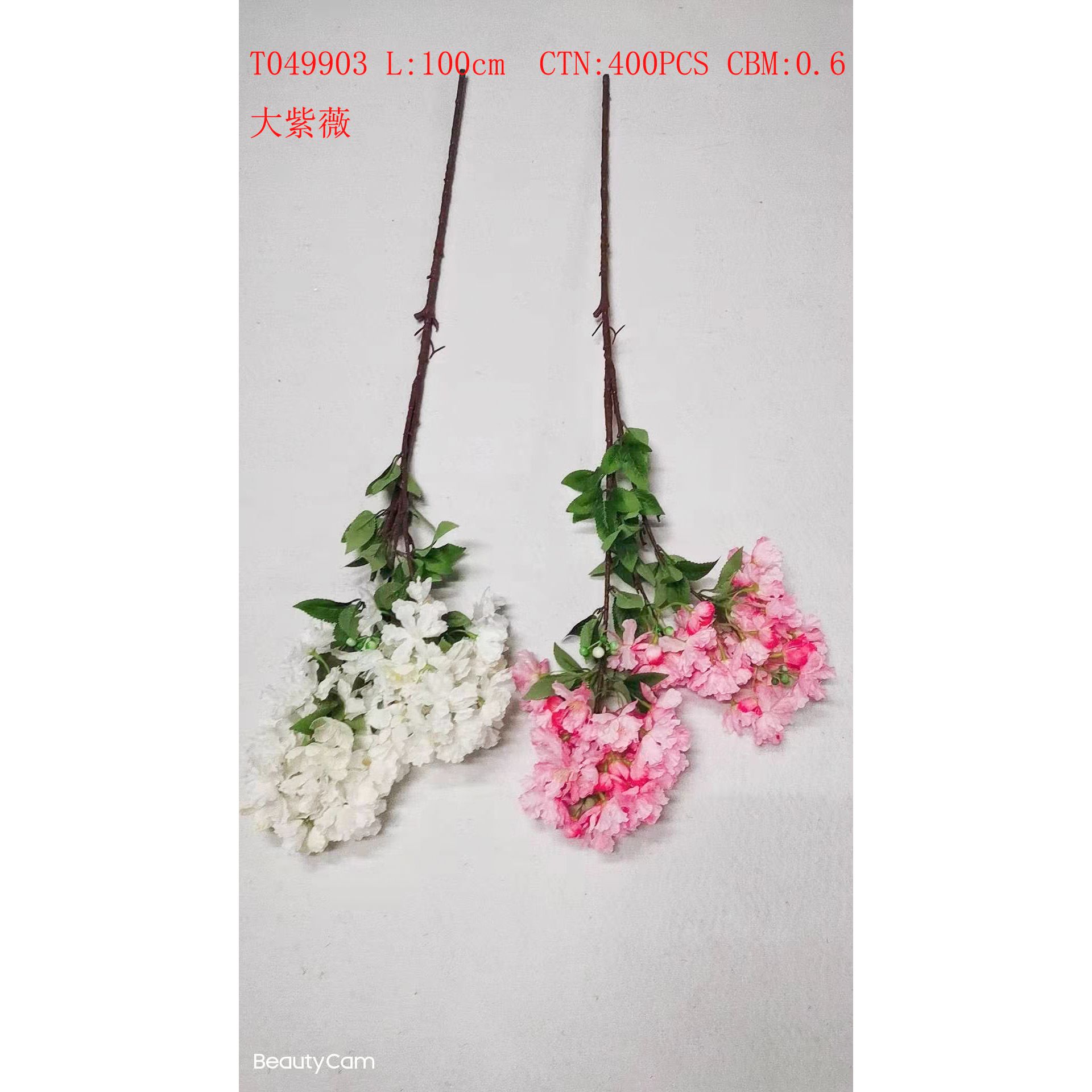 Crape Myrtle T049903