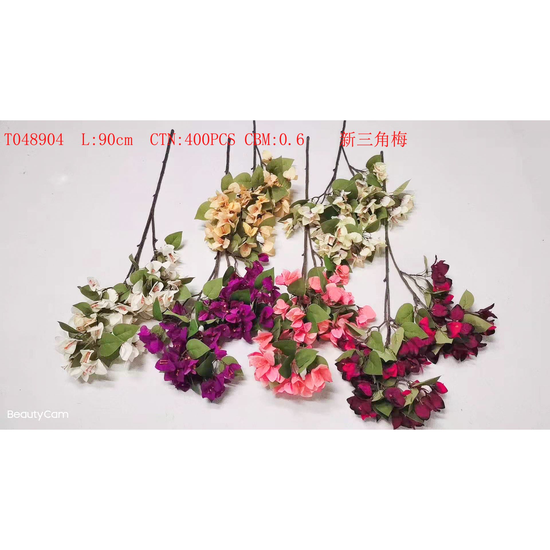 New Bougainvillea T048904