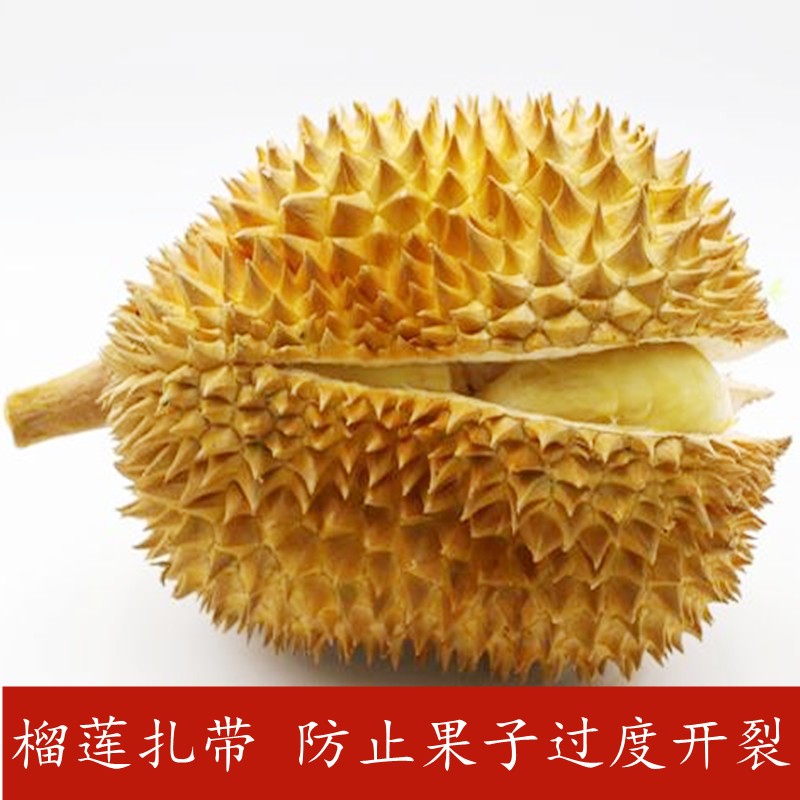 Free shipping durian cable ties 5*600 self-locking nylon cable ties, 4.8mm width, 250 pieces per pack, 40 packs per piece, binding diameter 175mm detail image 3