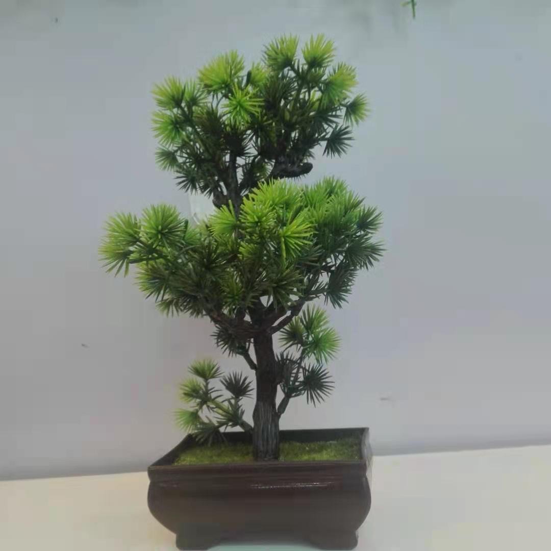 The new green style of the welcoming pine details Picture