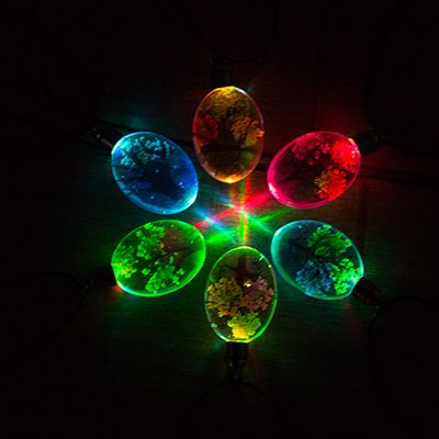 Oval Dried Flower Life Tree With Light Network Red Explosive Diy Factory Direct Sales Invincible Charming Item Picture