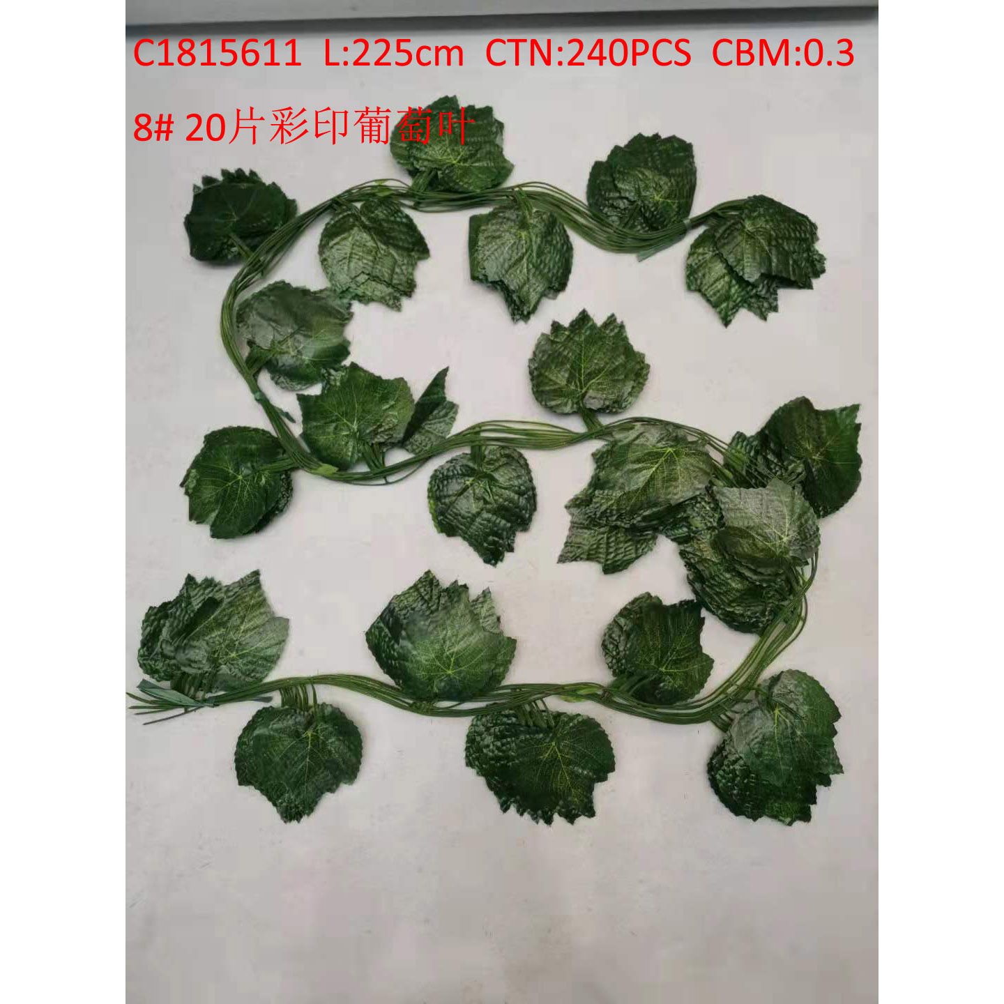 20片彩印葡萄叶 C1815611