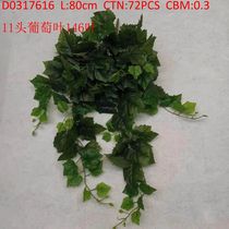 111 grape leaves 146 leaves D0317616