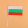 14*21保加利亚8号手摇旗带杆子外国世界旗图