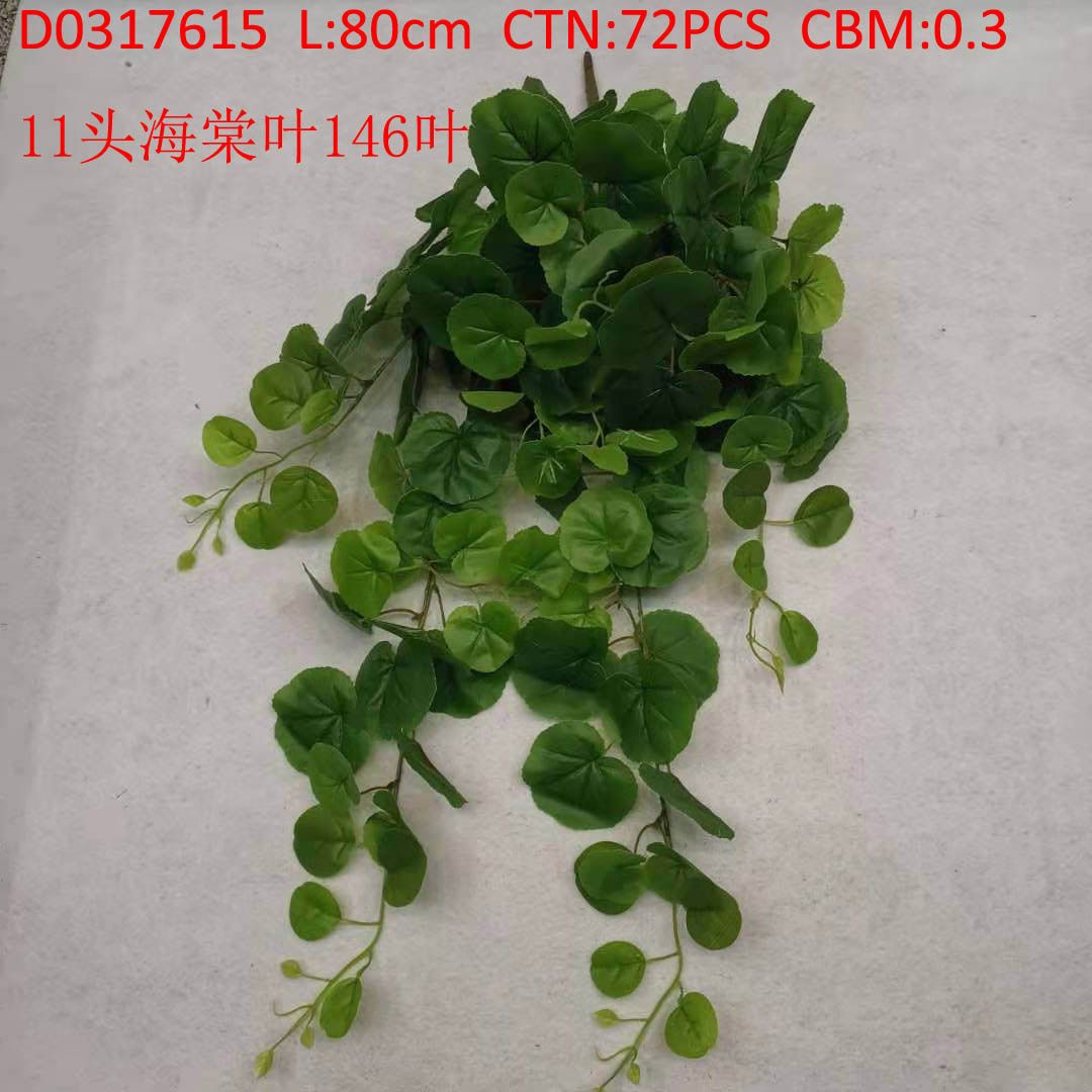 11 begonia leaves 146 leaves D0317615