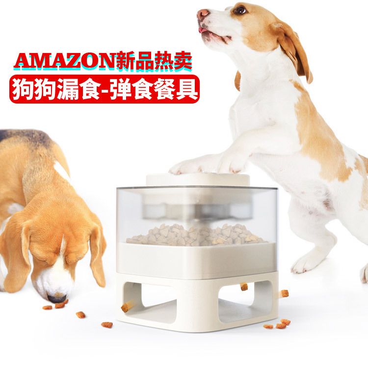 狗狗食具实物图