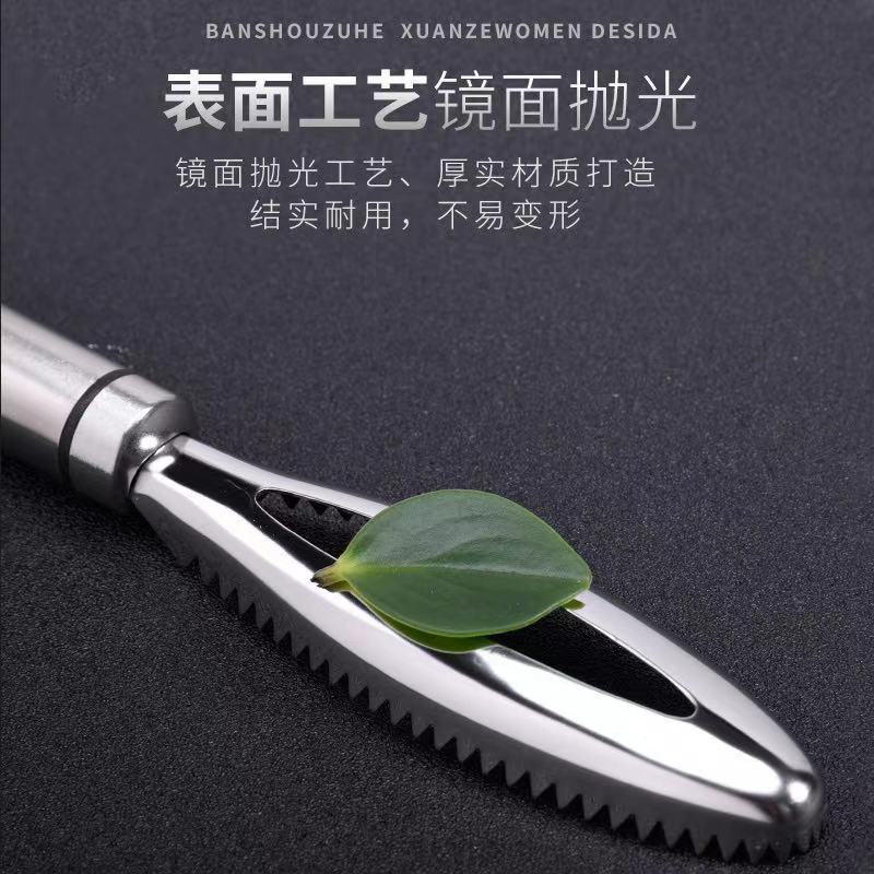 刮鱼鳞工具产品图