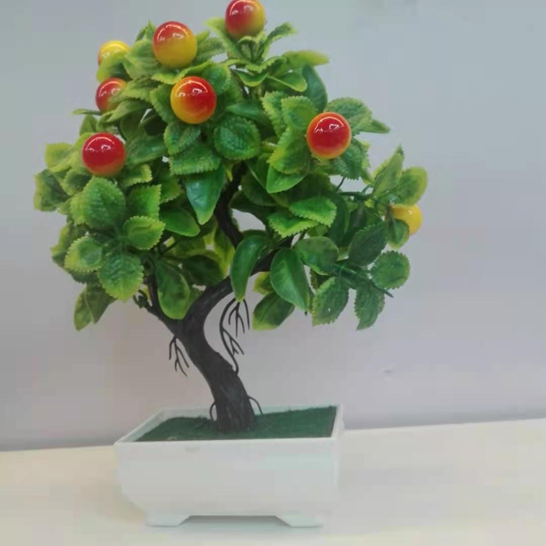 Sunset fruit trees