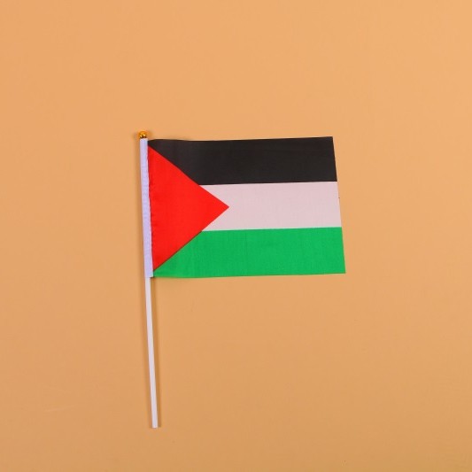 14*21巴勒斯坦8号手摇旗带杆子外国世界旗详情图1
