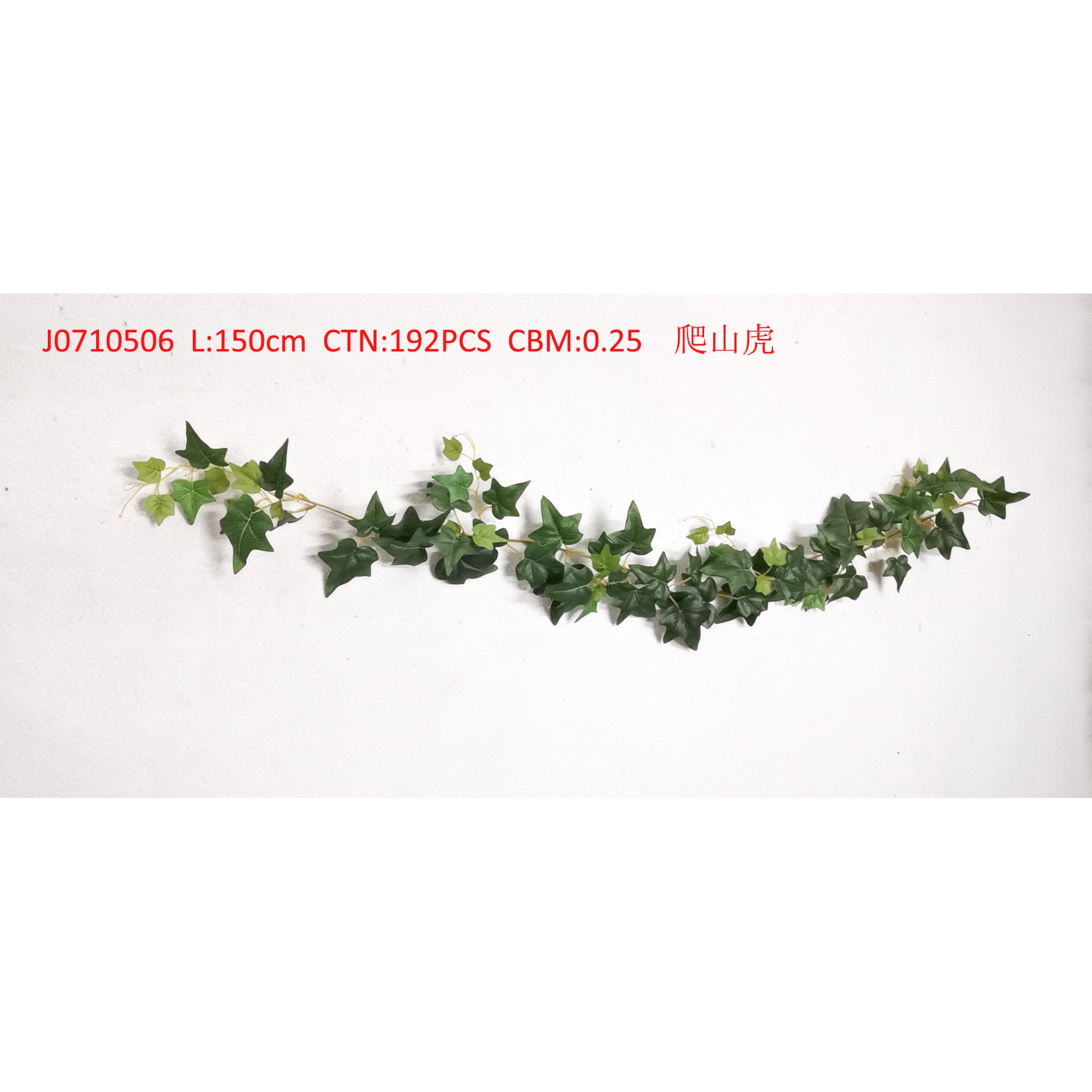 Ivy J0710506