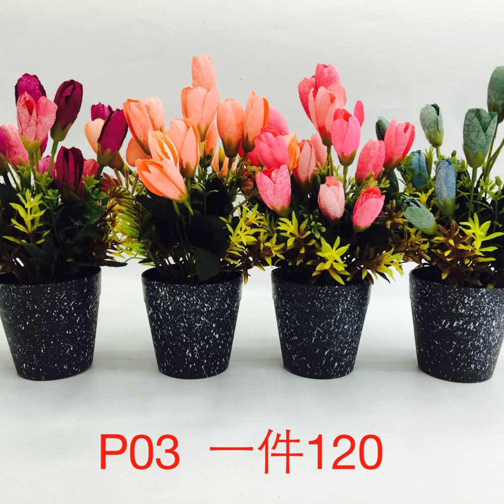 P03