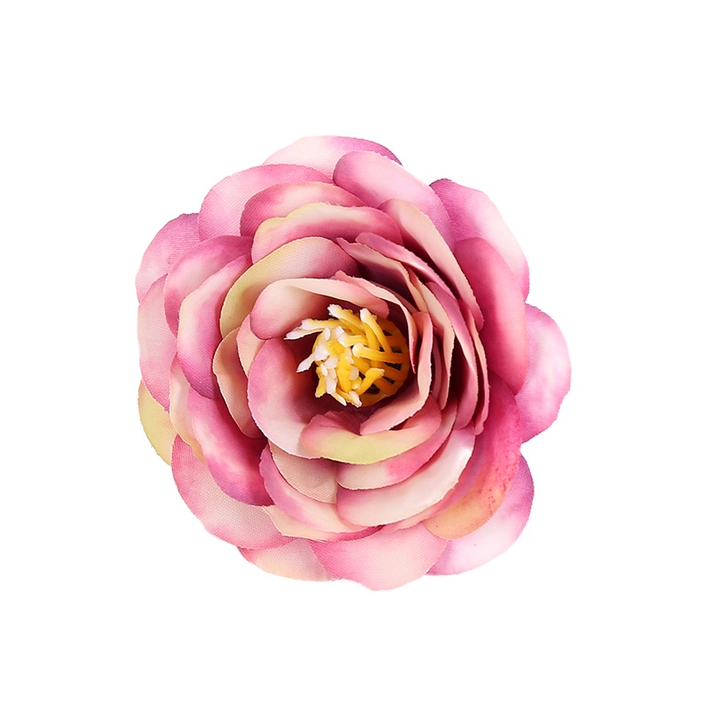 Peony flower 1