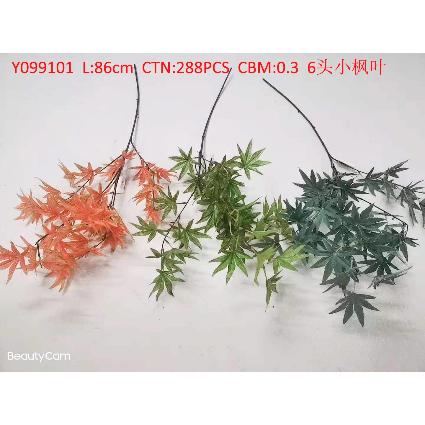 6 small maple leaves Y099101