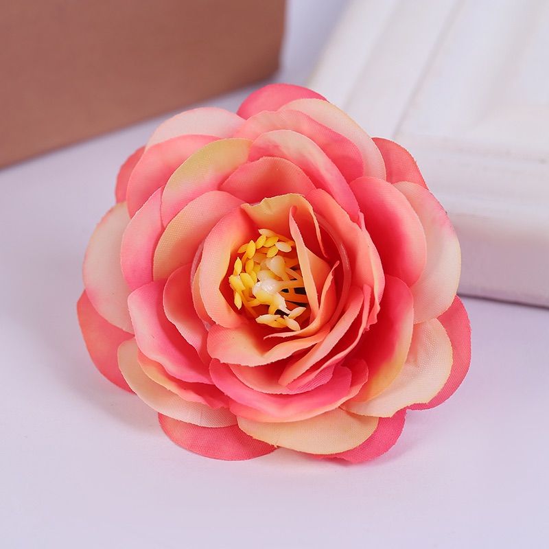 Deep yellow pink peony flowers