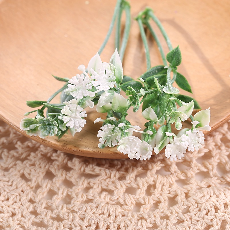 White-flowered aquatic plants
