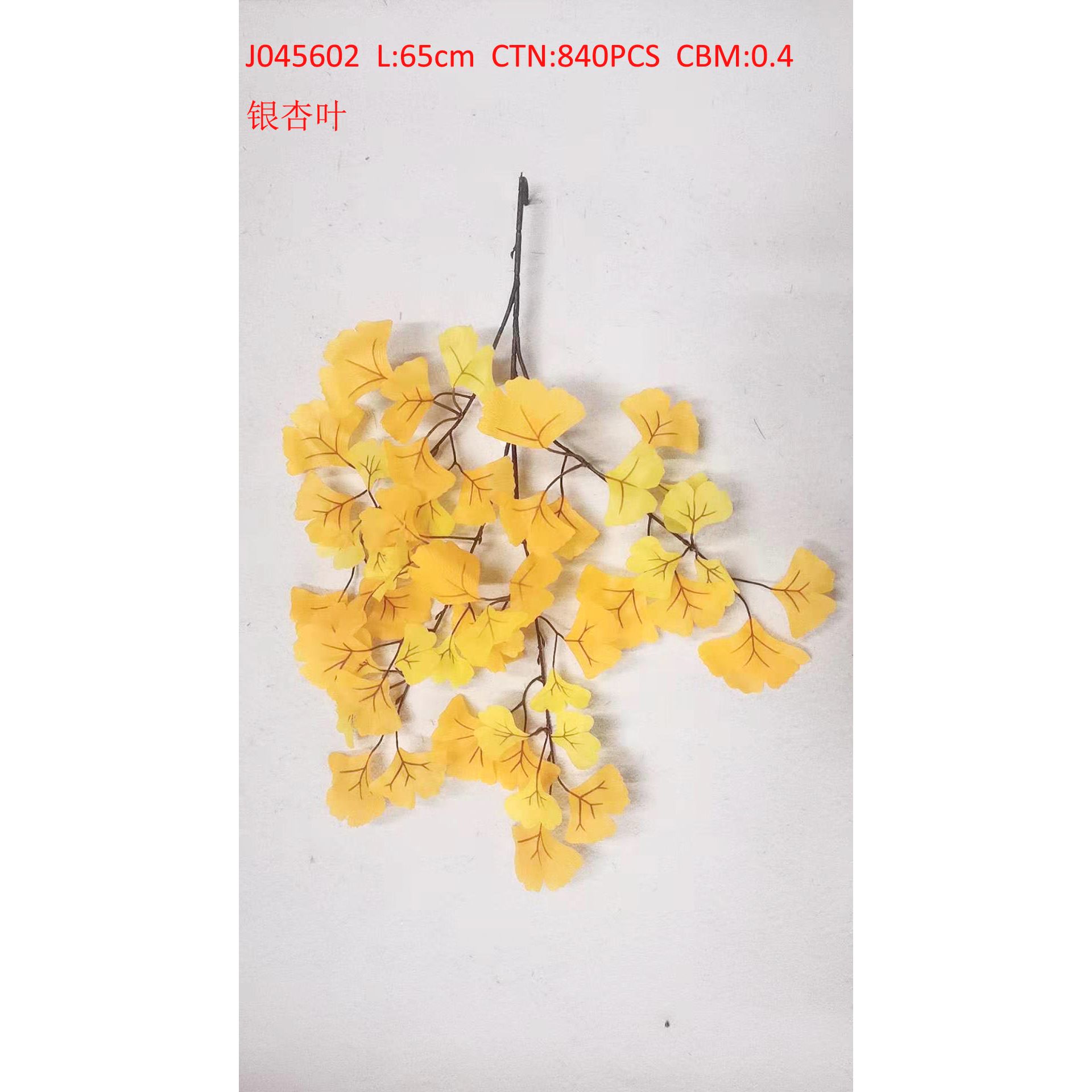 Gingko biloba J045602