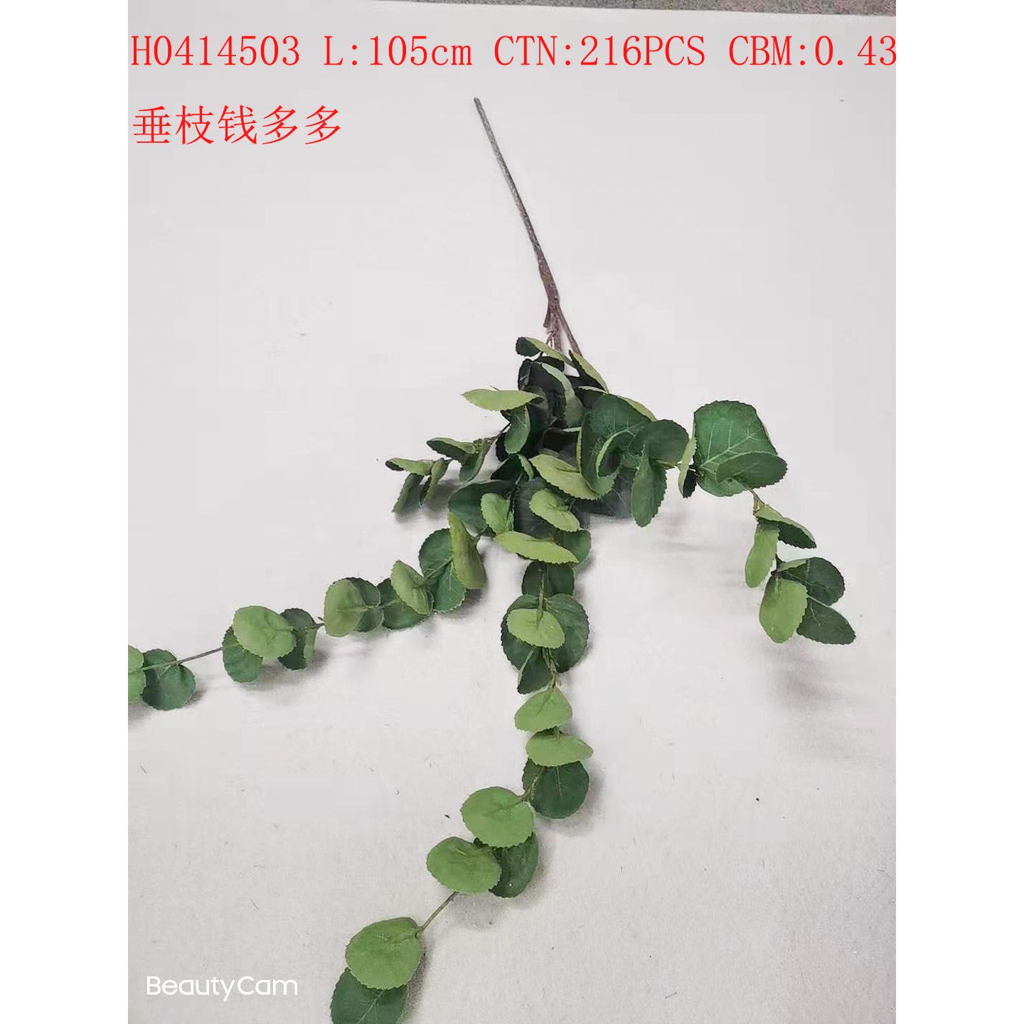 Hanging branch money Duo H0414503