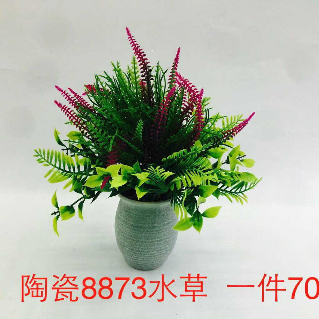 8873水草