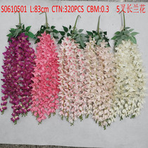 Single pointed leaf hairs S0610501