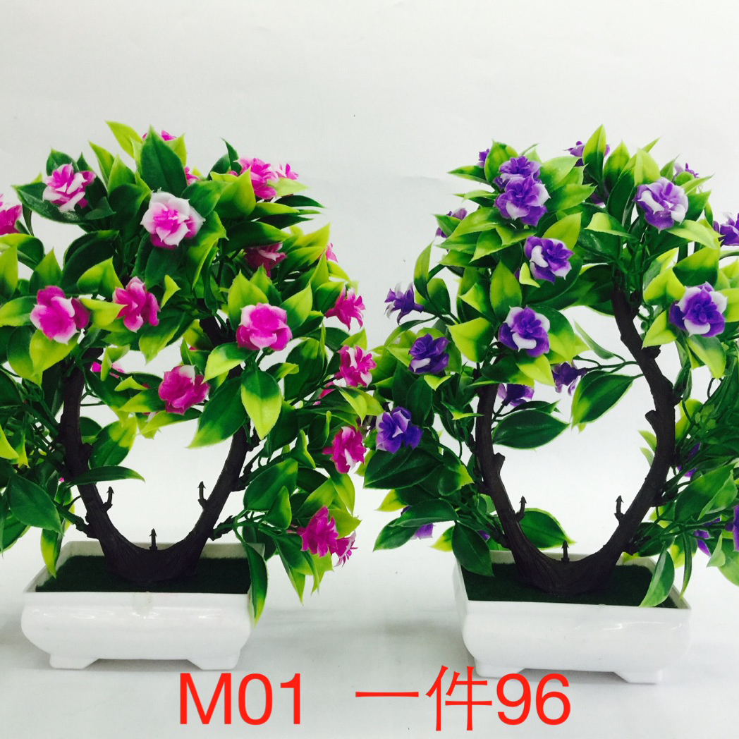 M01
