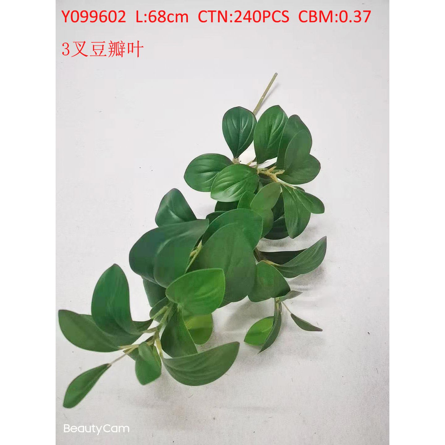 3 forks watercress Y099602