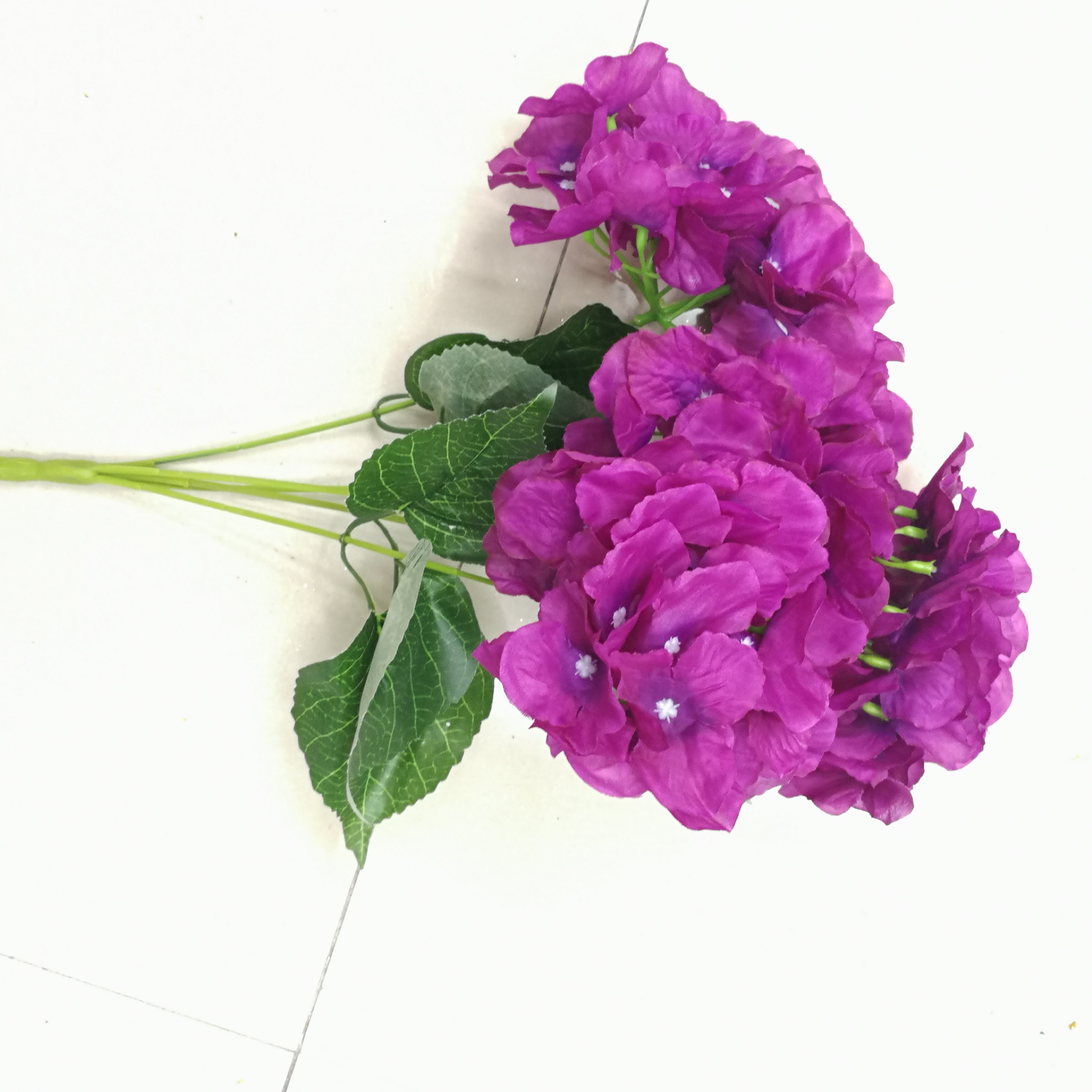البنفسج