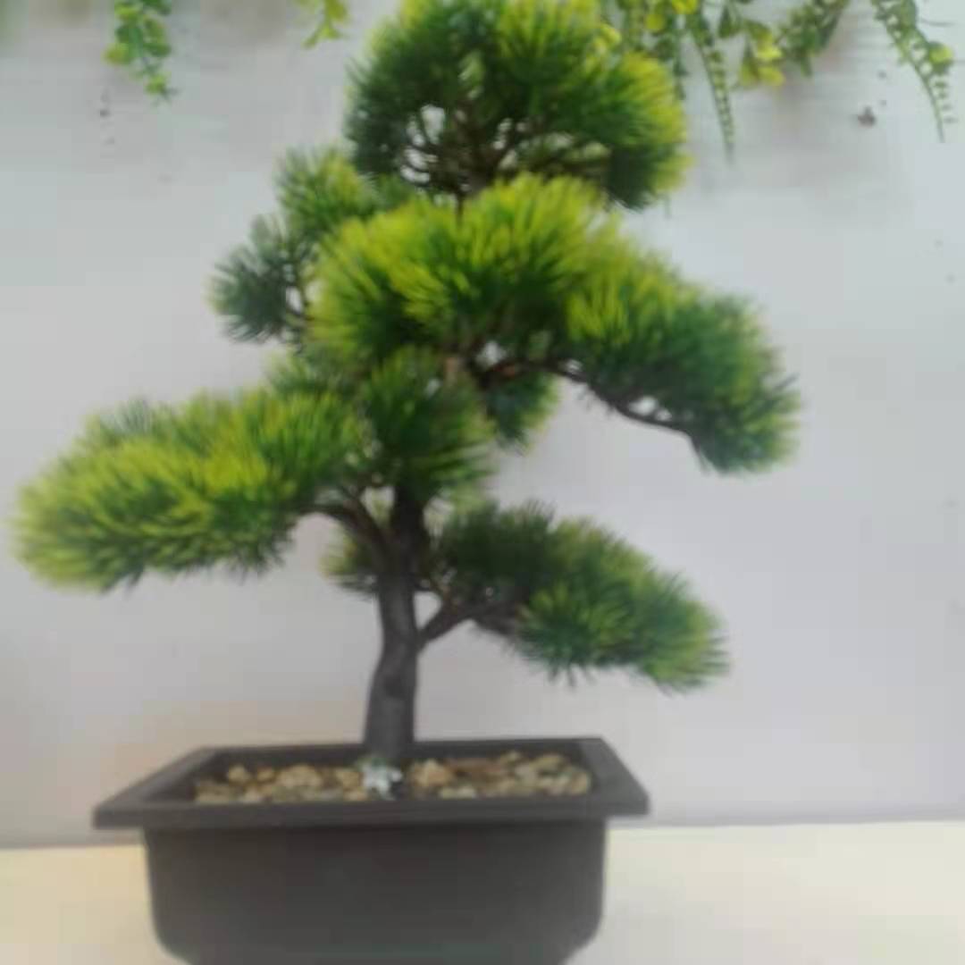 花盆盆栽/仿真盆景辣椒/仿真青松盆景/花草树木/家居摆件产品图