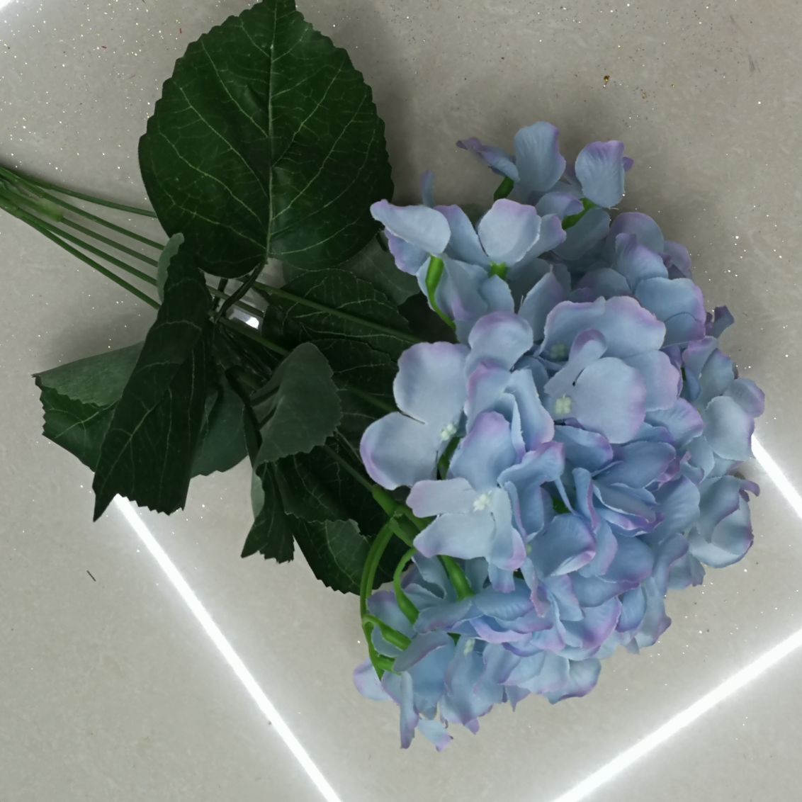بام البيضاء