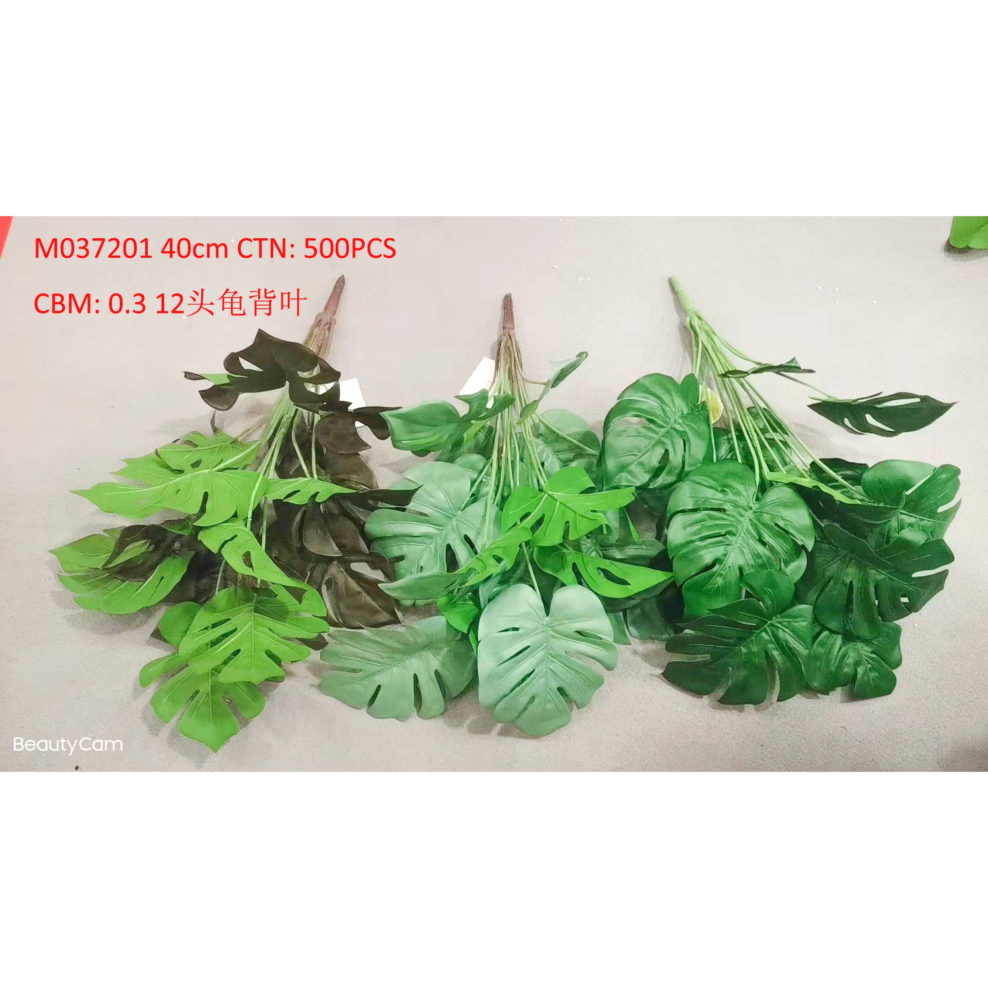 12 turtle back leaves M037201