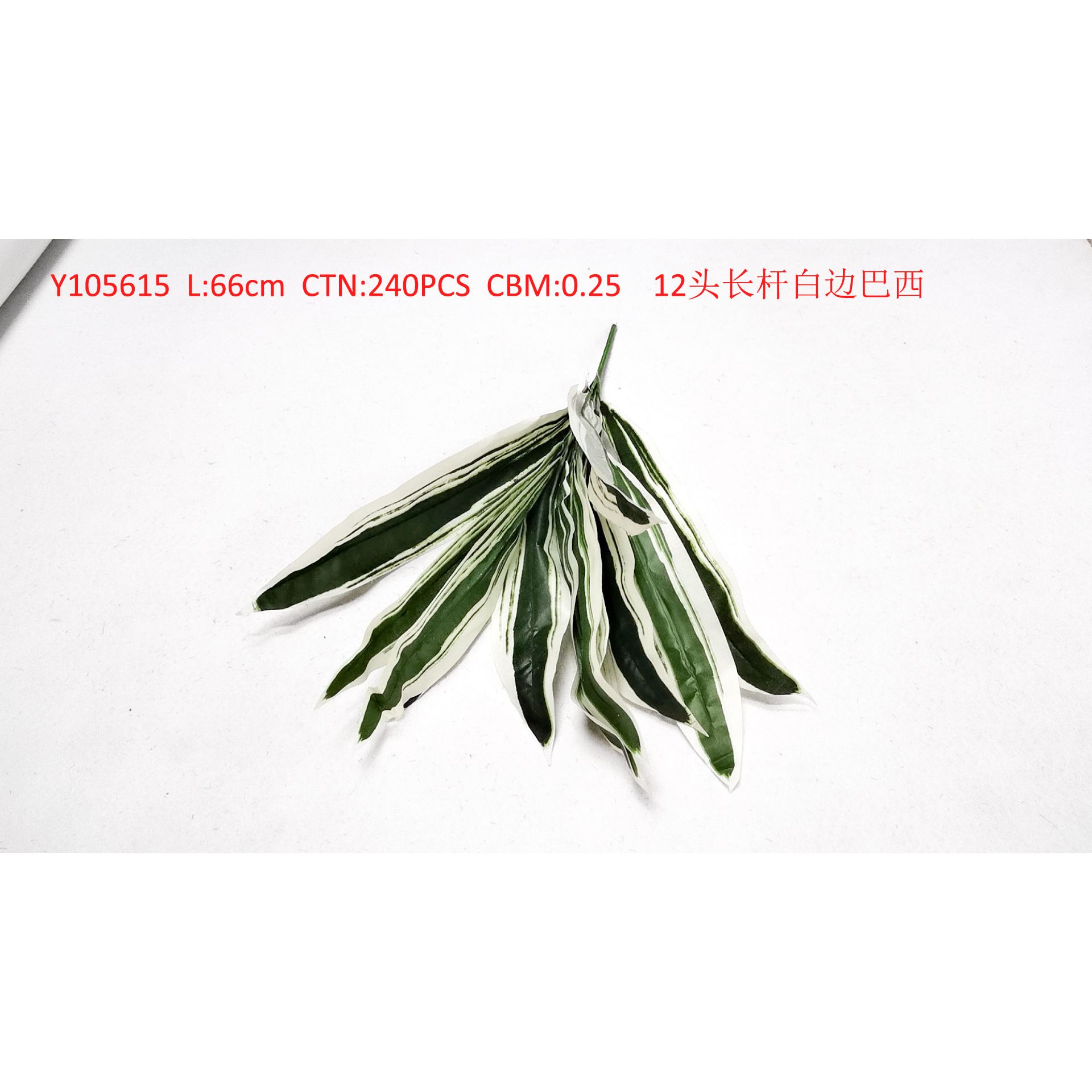 12 long pole white side Brazil