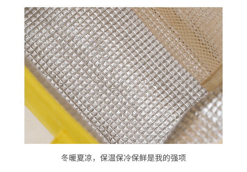 新款大容量保温便当包手提外出上班饭盒袋钢架宝妈便携马卡龙冰包3详情图13