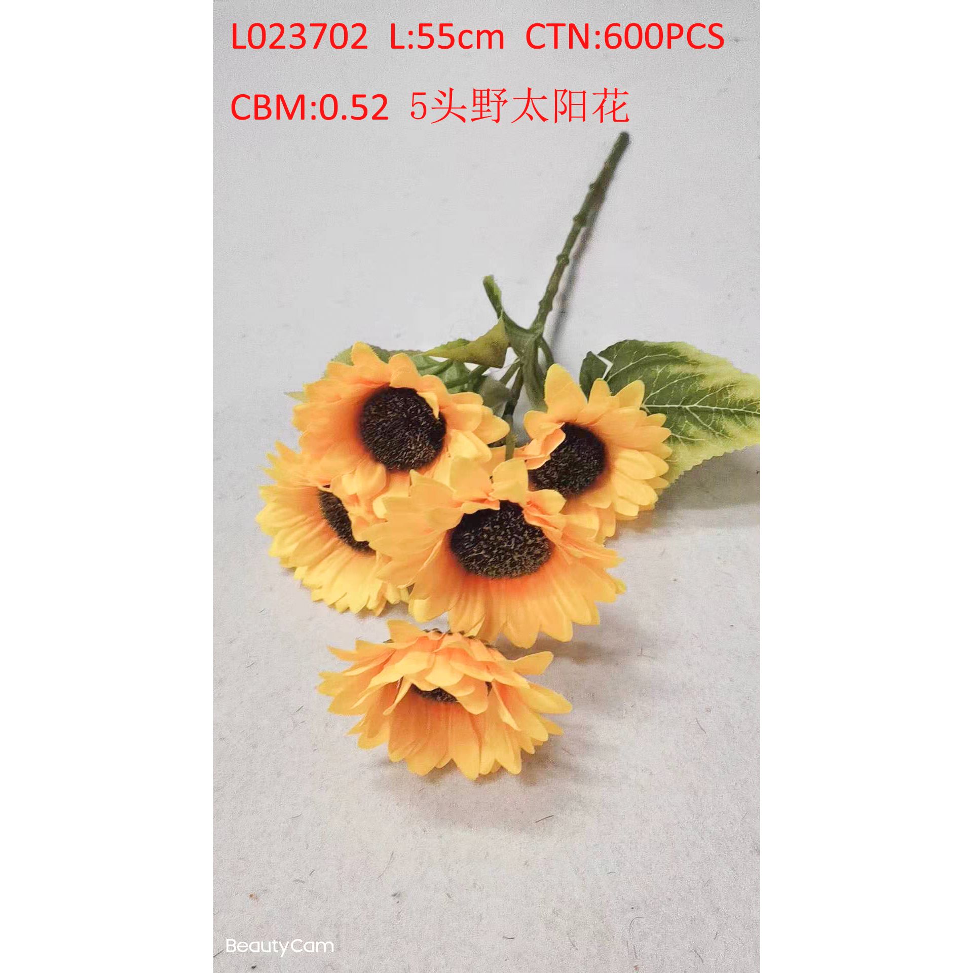 5 wild sunflowers L023702