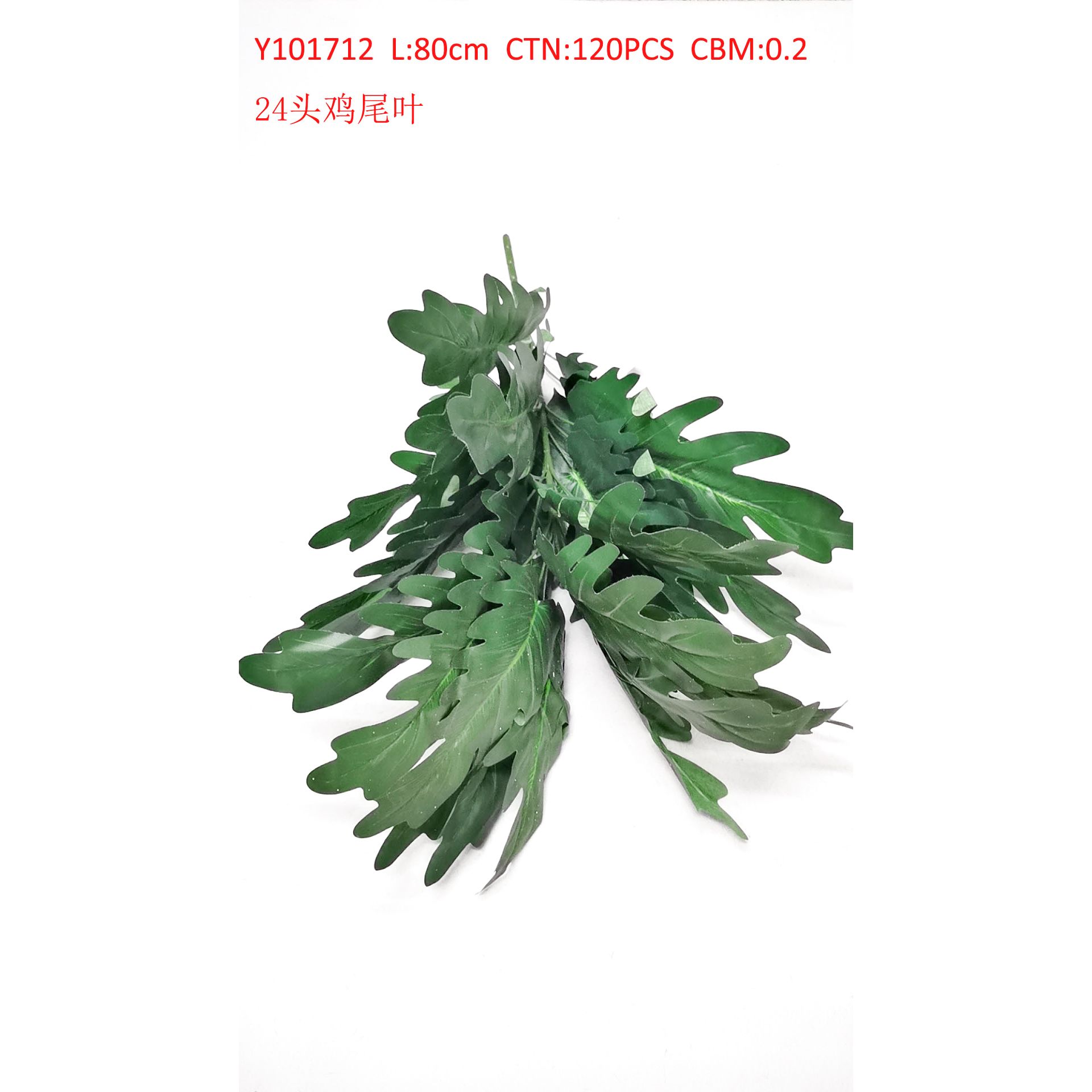 24 head chicken tail leaf Y101712