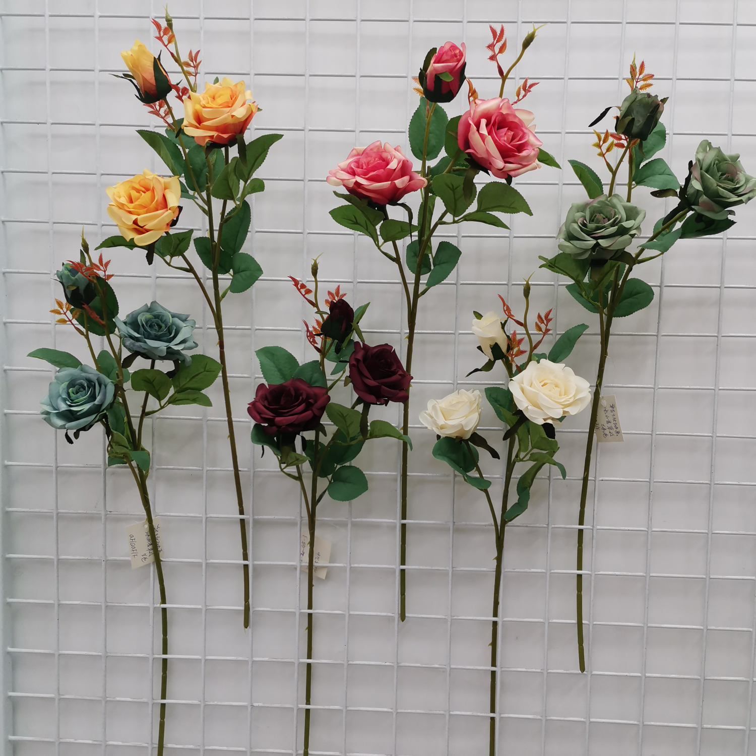 单支冰山草香玫