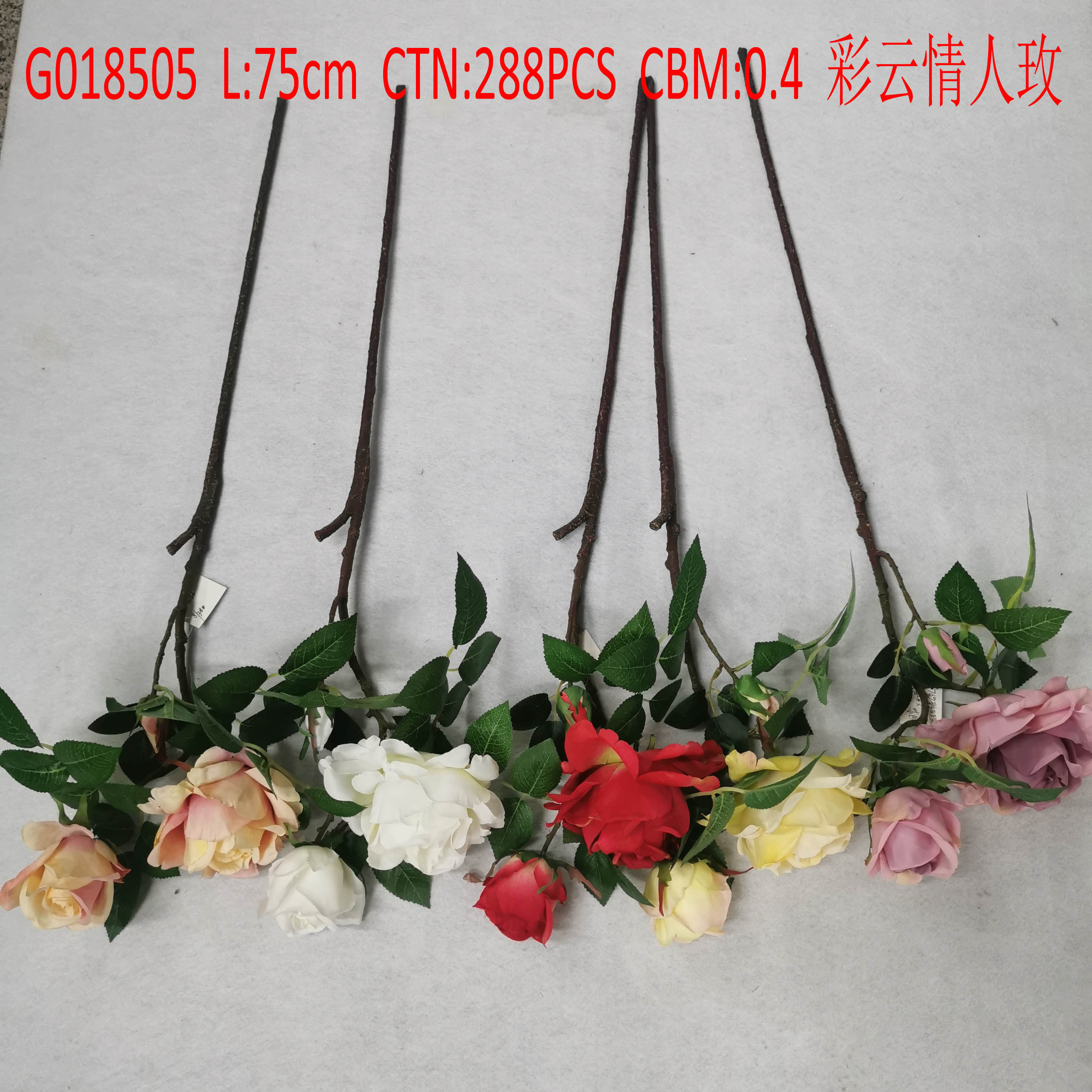 Rosy cloud lover Rose G018505