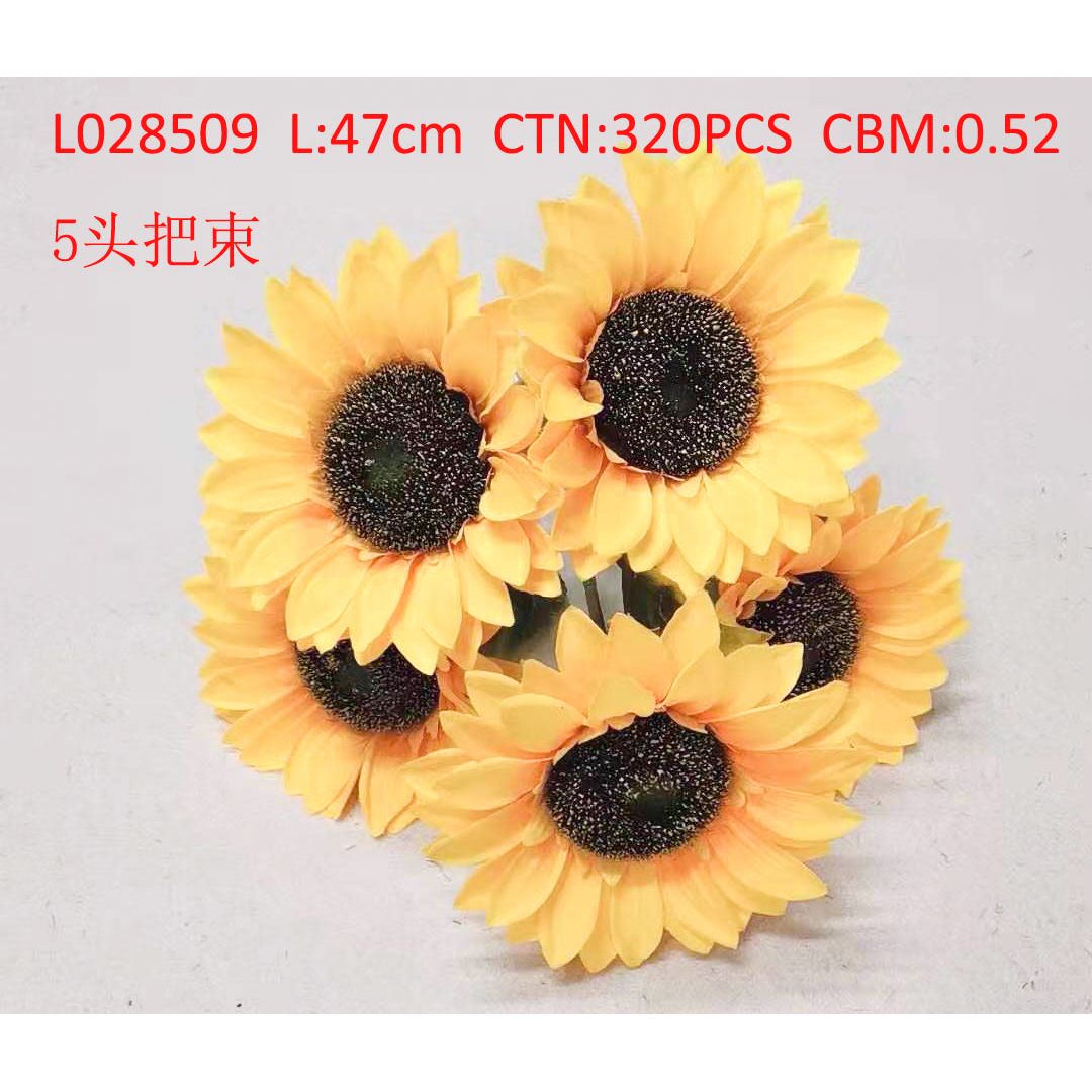 5 First bundle L028509