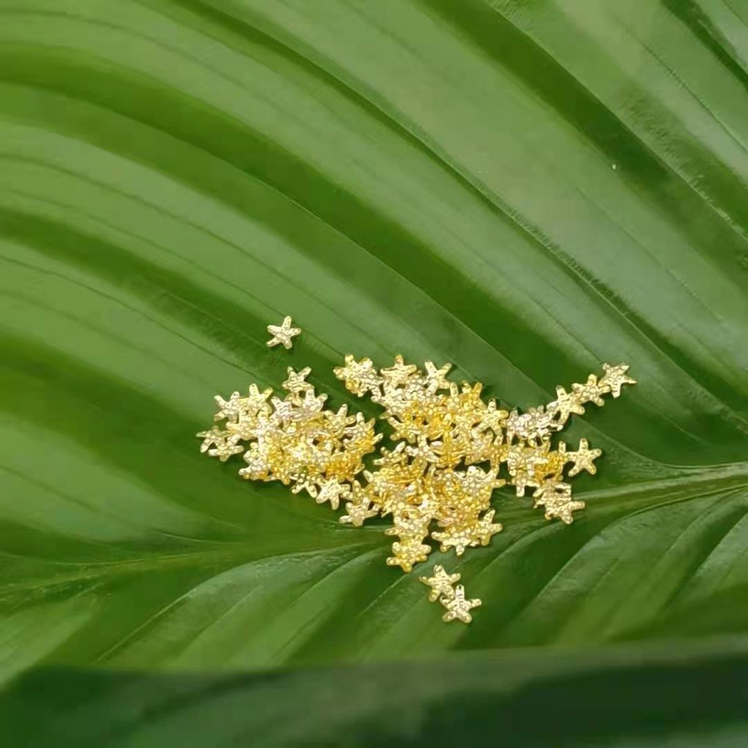 3.2 Starfish Mini Cute Nail Metal Patches are Internet celebrities and bestsellers details Picture