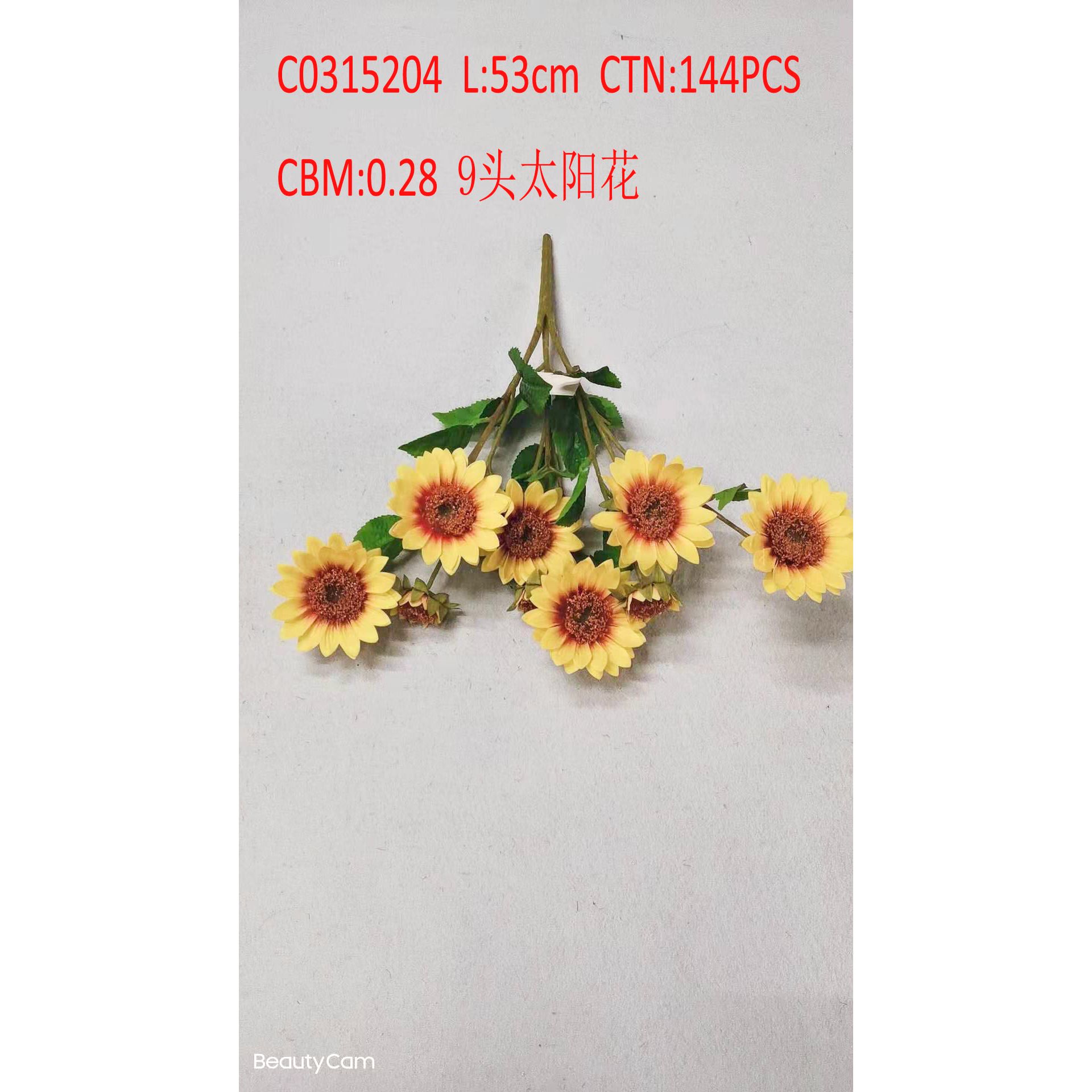 9 sunflowers C0315204