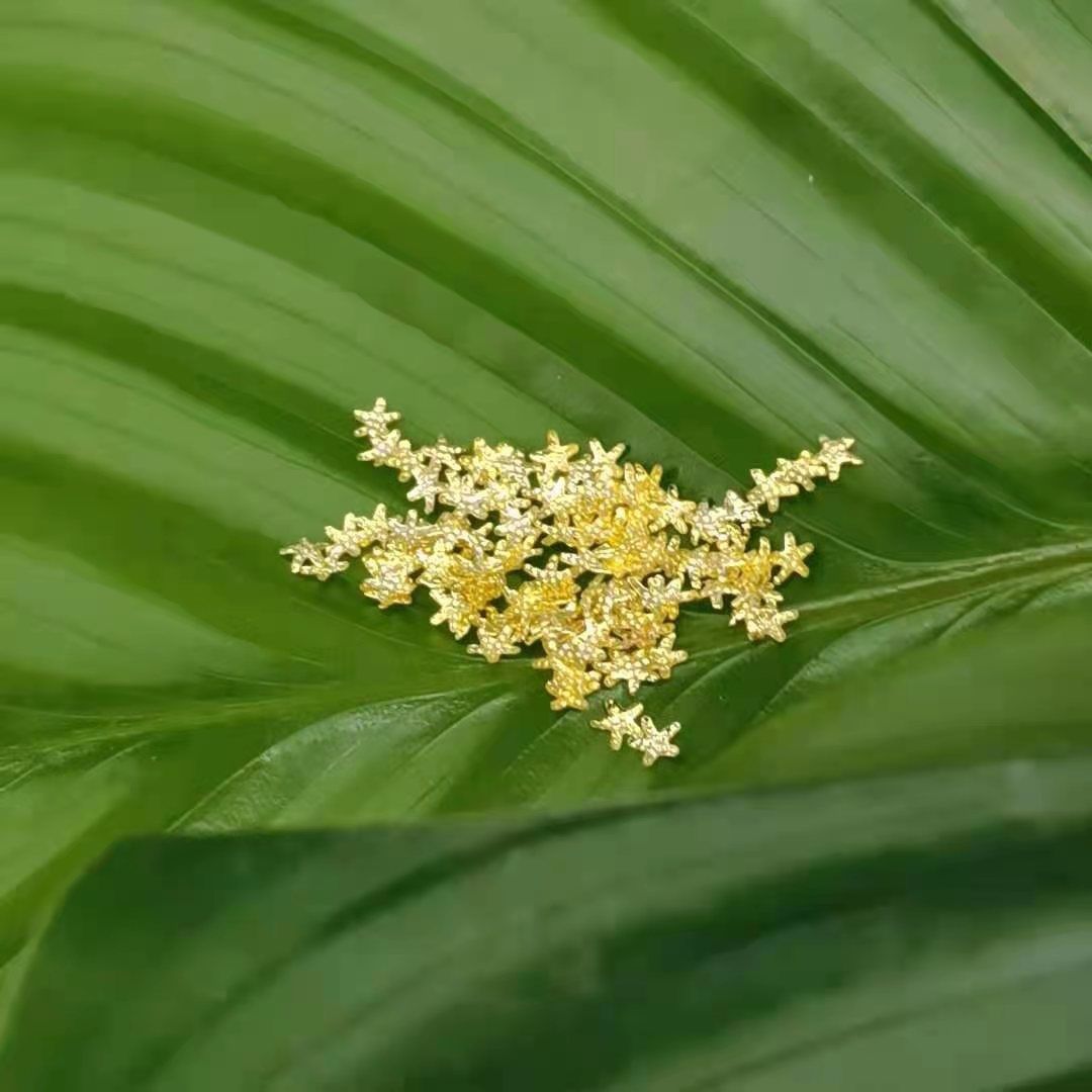 3.2 Starfish Mini Cute Nail Metal Patches are Internet celebrities and bestsellers full figure