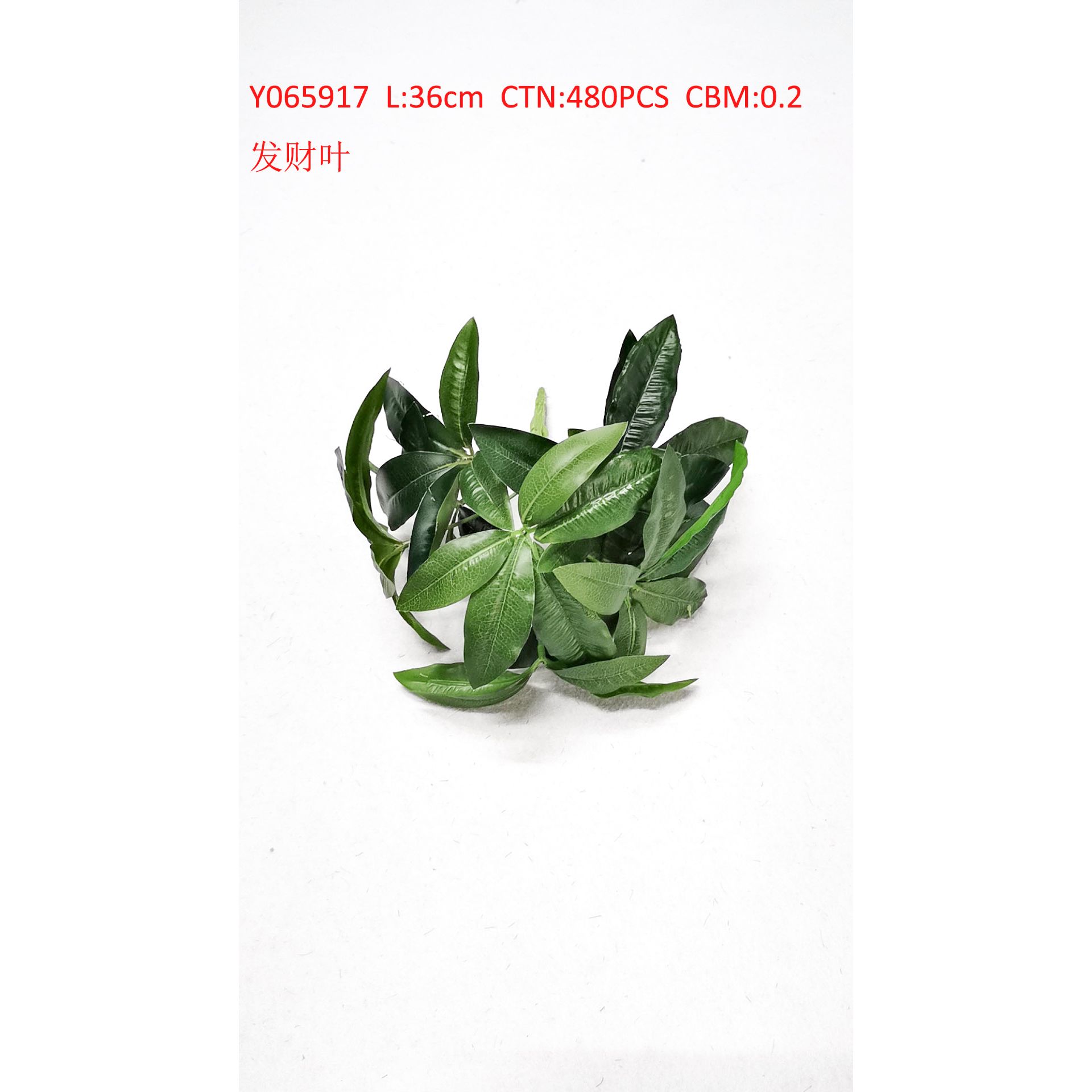 Rich leaf Y065917