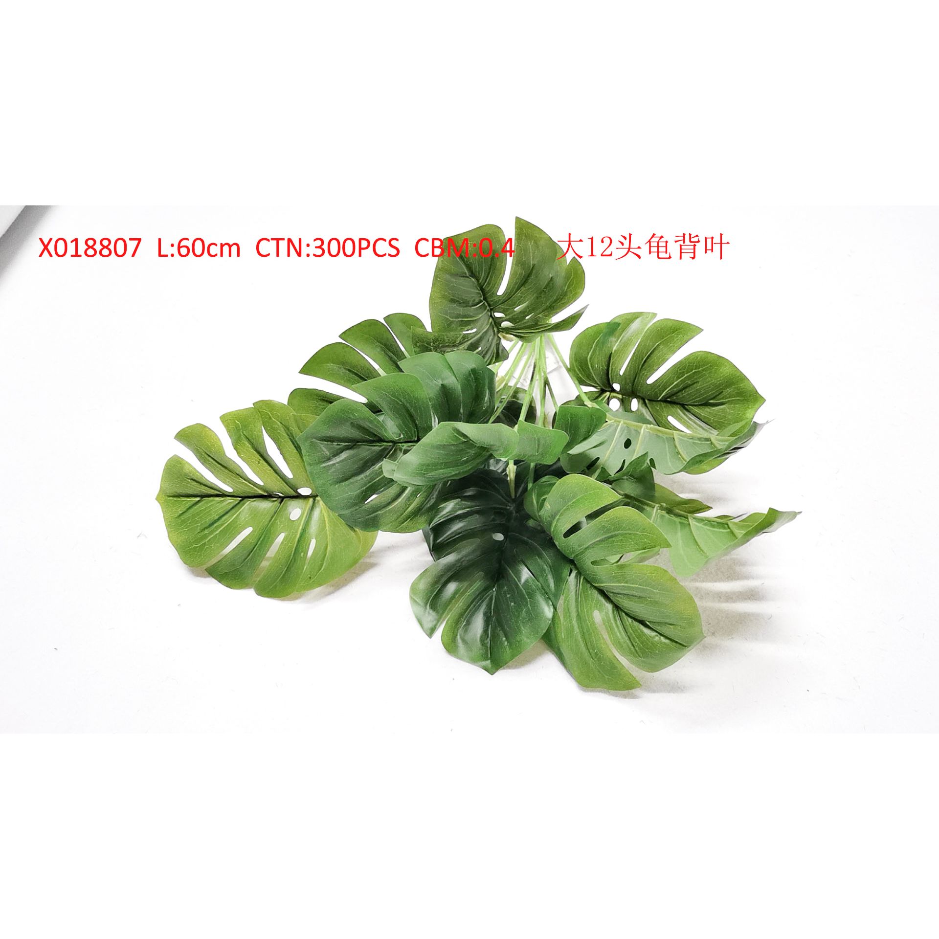 Big 12 turtle back leaf X018807