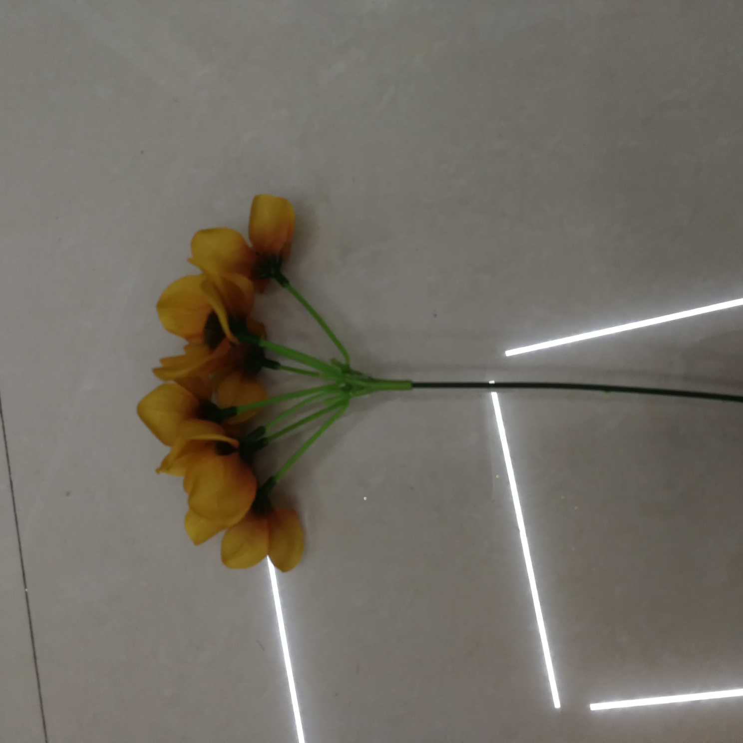 إثنا عشر قطعة