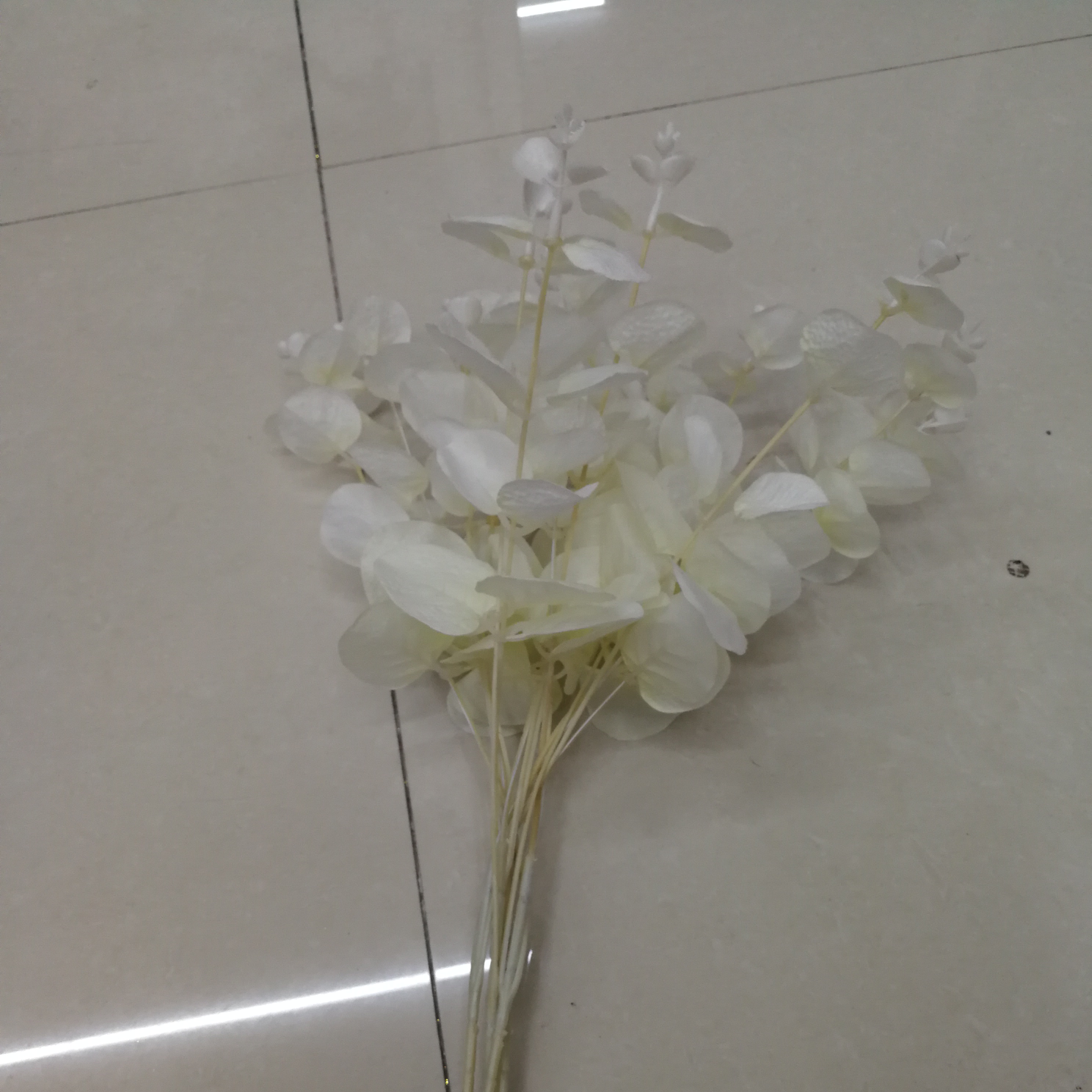 البجعة البيضاء