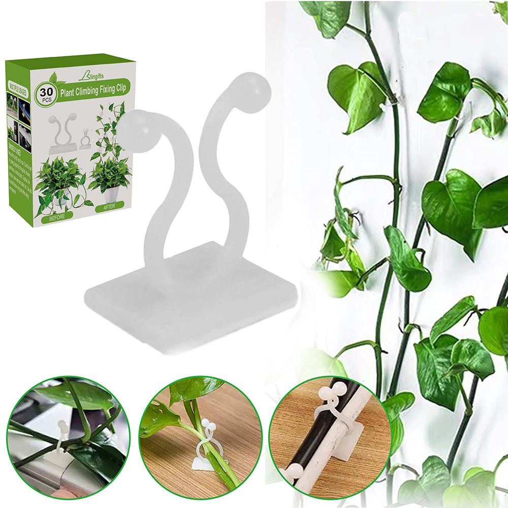 思霖创意植物爬墙贴 绿萝固定器 多功能理线器