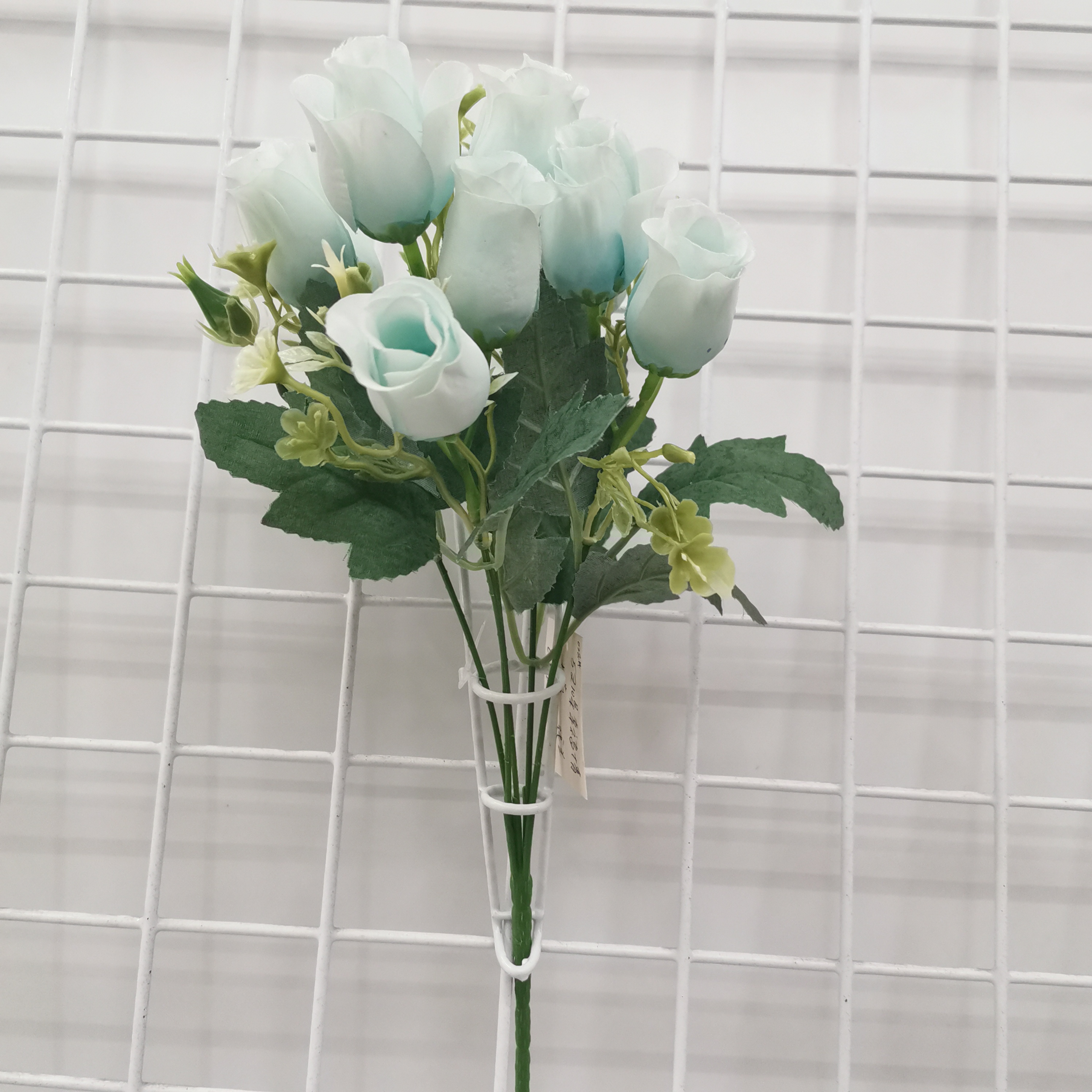 5叉幸福情人蕾蓝色