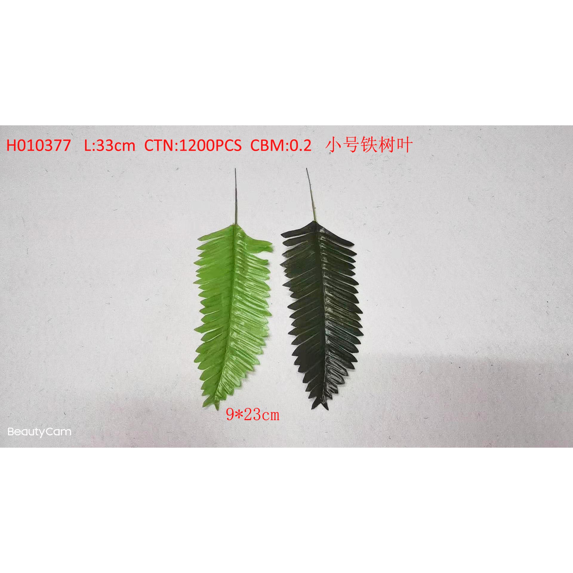 Small Persian leaf H010377