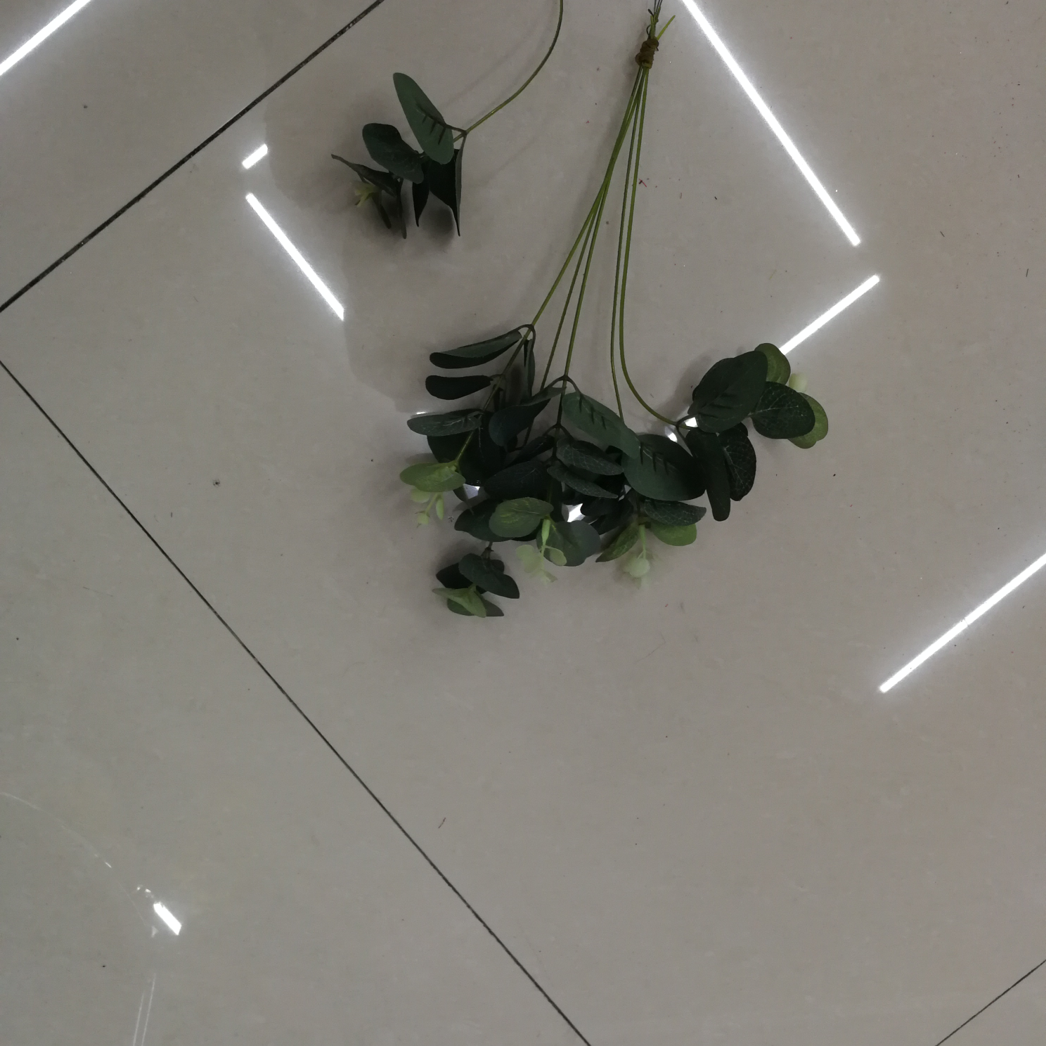Little bean sprout flowers