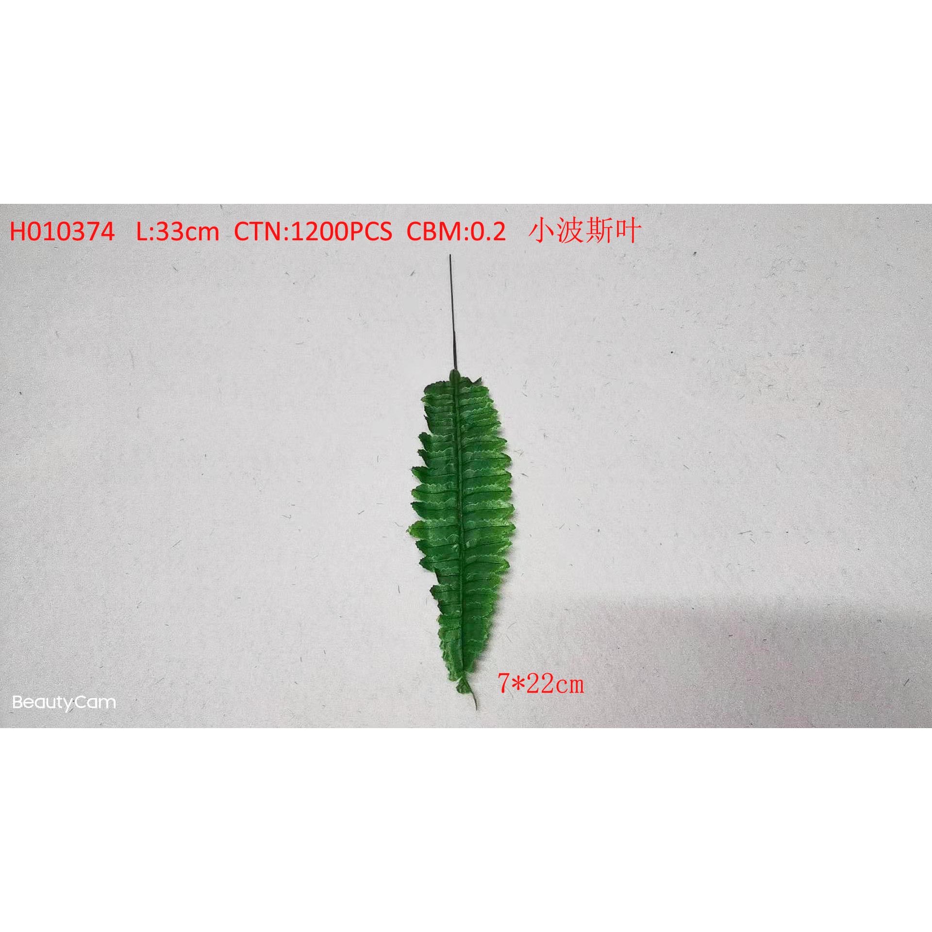 Small Persian leaf H010374