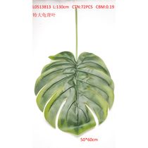 Giant turtle back leaf L0513813